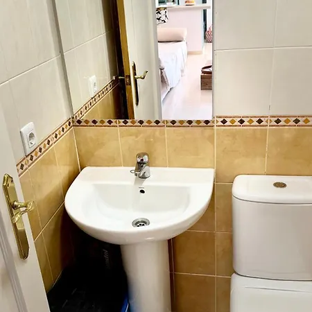 Datiler Vybdenia Denia